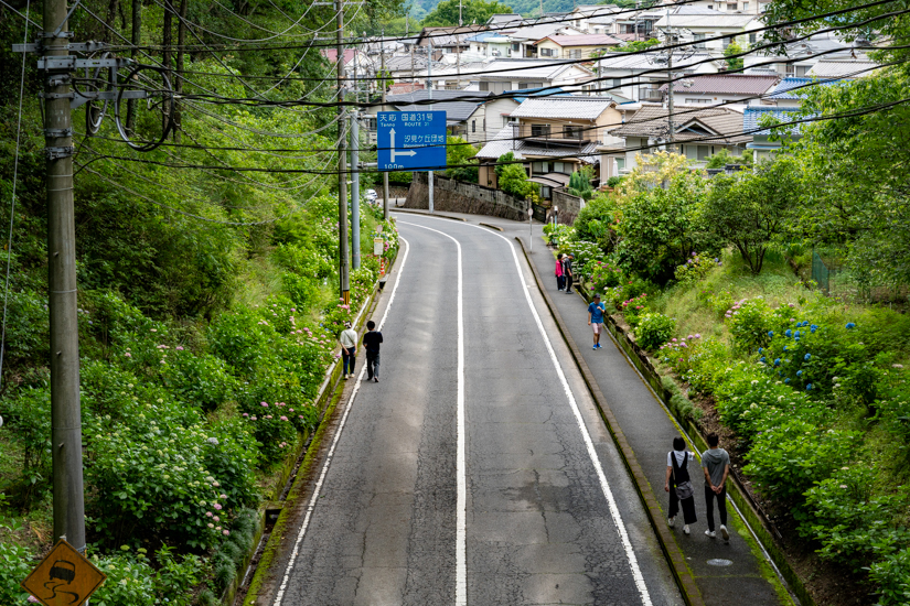 あじさいロード